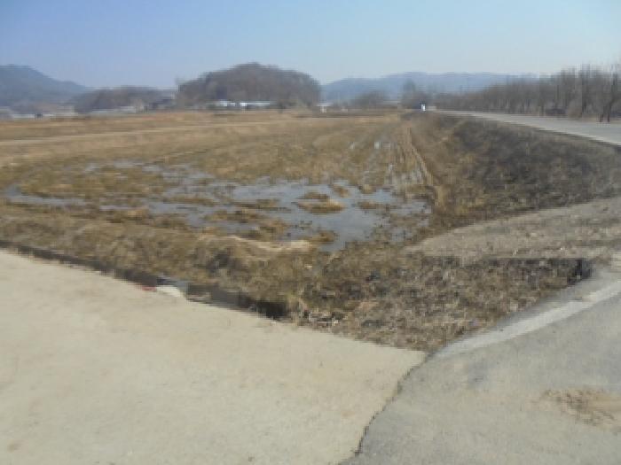 충북 음성군 원남면 보룡리 240 답 사진 4