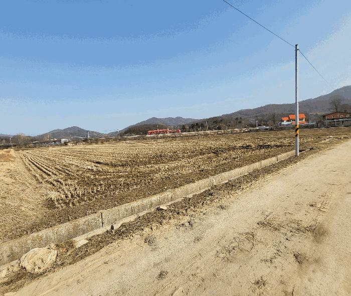 충북 음성군 원남면 보룡리 240 답 사진 5