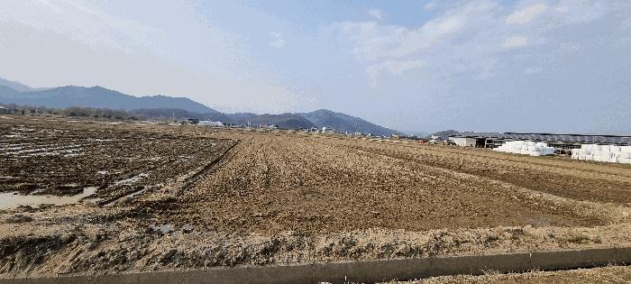 충북 충주시 중앙탑면 탑평리 322-1 답 사진 2