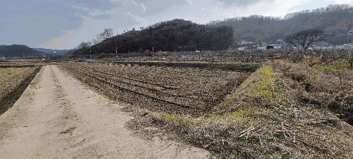 충북 충주시 중앙탑면 탑평리 322-1 답 사진 5