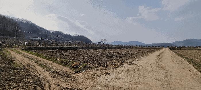 충북 충주시 중앙탑면 탑평리 322-1 답 사진 6