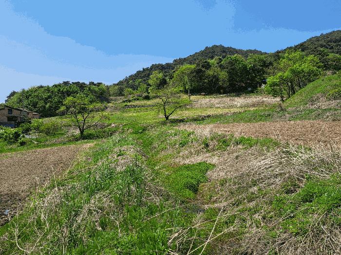 충북 충주시 산척면 송강리 1819-3 답 경매 물건 사진