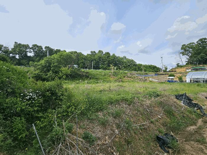 충북 충주시 엄정면 율능리 445 전 사진 6