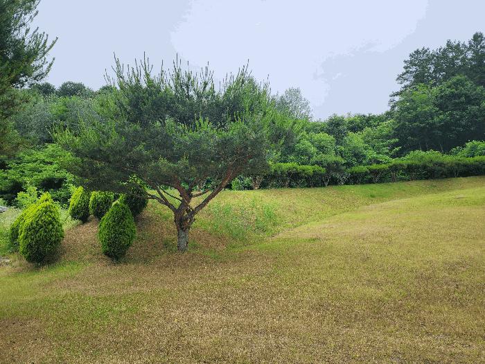 충북 영동군 용산면 매금리 310 전 경매 물건 사진