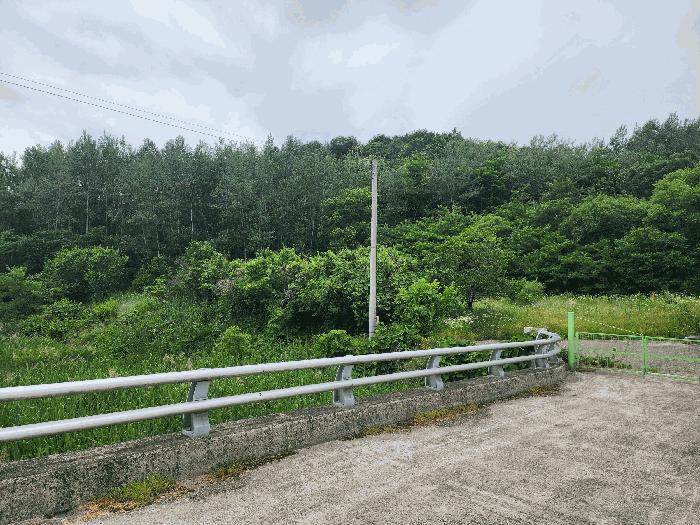 충북 영동군 용산면 매금리 310 전 사진 2