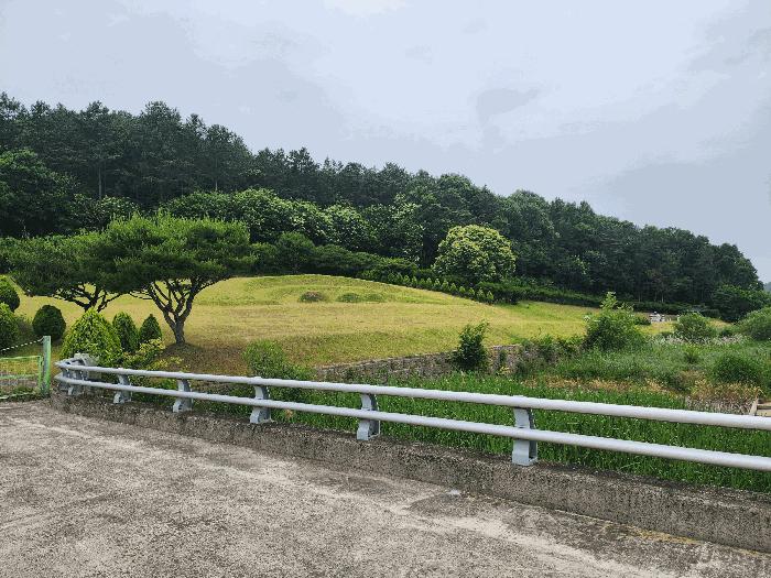 충북 영동군 용산면 매금리 310 전 사진 6
