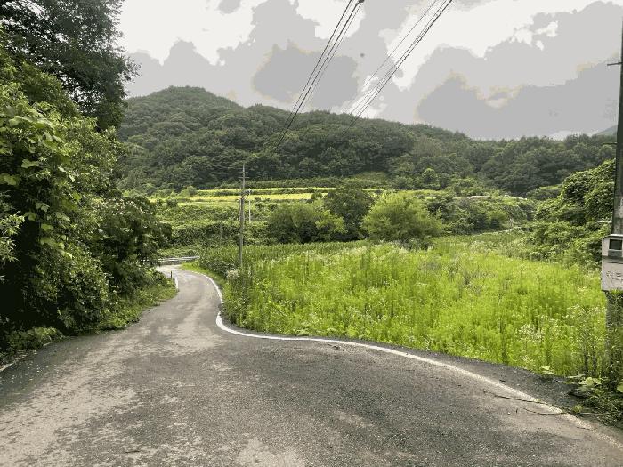 충북 옥천군 안내면 답양리 515 전 사진 3
