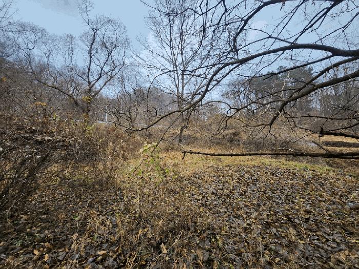 충북 괴산군 괴산읍 서부리 67 전 사진 2