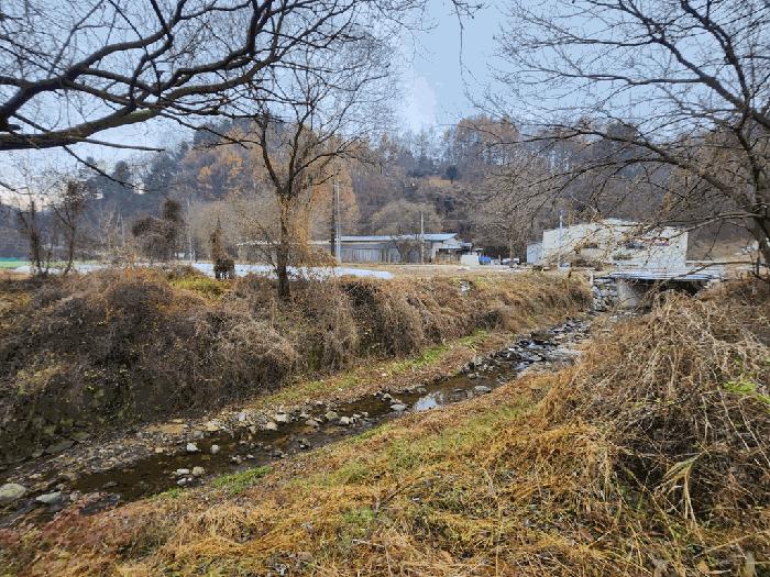 충북 괴산군 괴산읍 서부리 67 전 사진 3