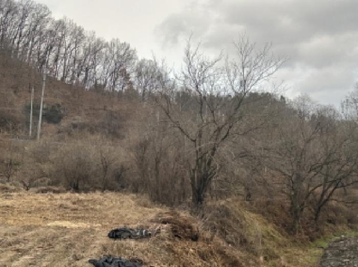 충북 괴산군 괴산읍 서부리 67 전 사진 4