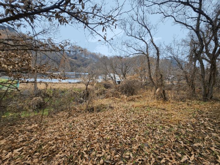 충북 괴산군 괴산읍 서부리 67 전 사진 5