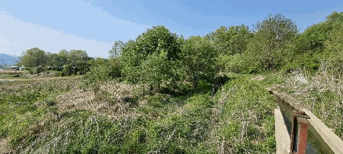 충북 충주시 중앙탑면 가흥리 307 답 경매 물건 사진