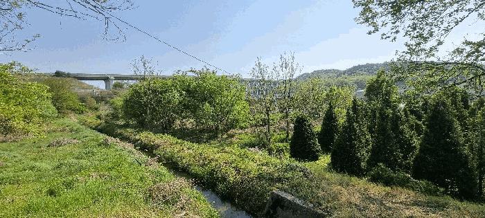 충북 충주시 중앙탑면 가흥리 307 답 사진 4