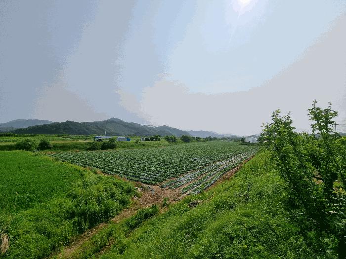 충북 충주시 중앙탑면 가흥리 744 전 경매 물건 사진