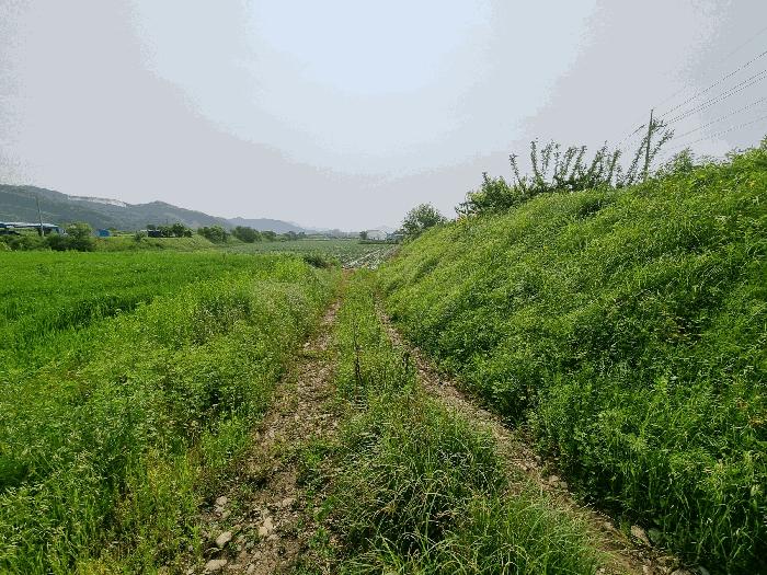 충북 충주시 중앙탑면 가흥리 744 전 사진 5