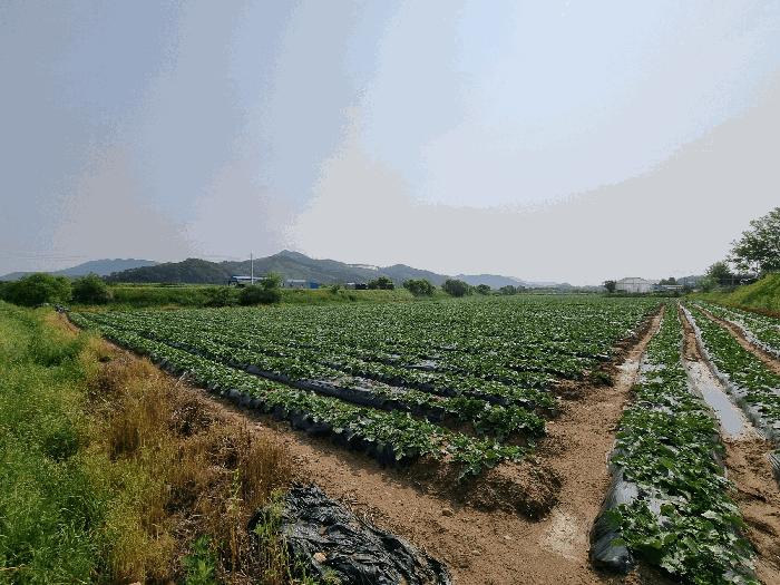 충북 충주시 중앙탑면 가흥리 744 전 사진 6