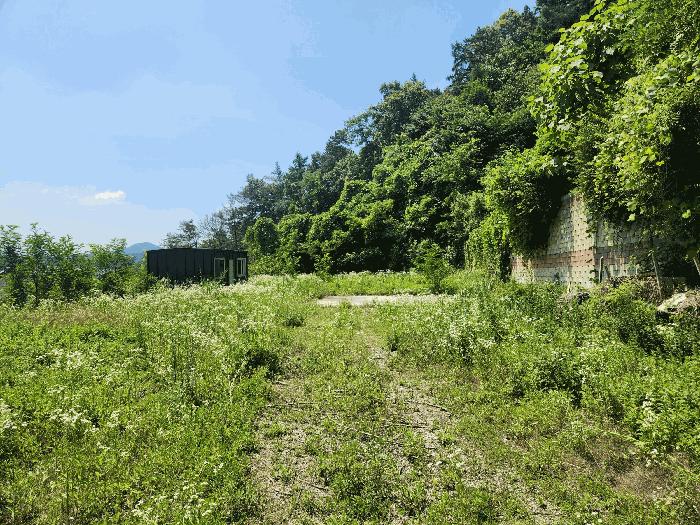 충북 음성군 금왕읍 무극리 산31 임야 경매 물건 사진