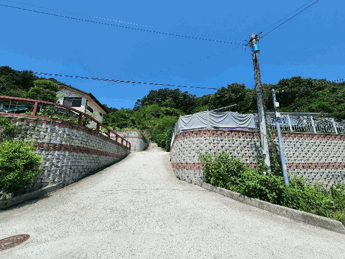충북 음성군 금왕읍 무극리 산31 임야 사진 3