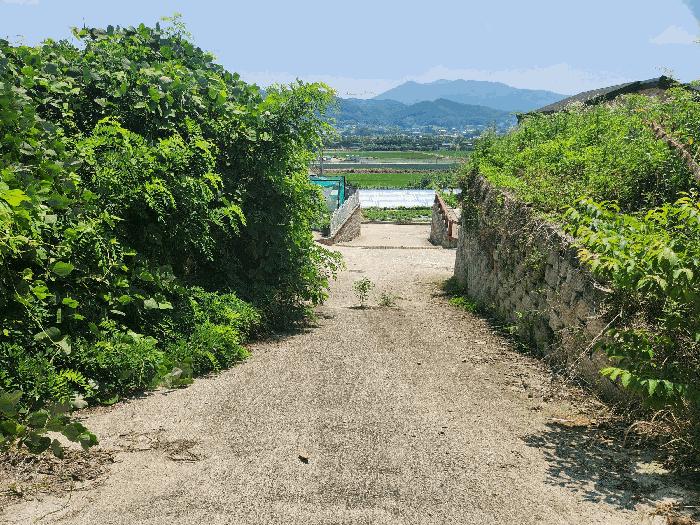 충북 음성군 금왕읍 무극리 산31 임야 사진 5