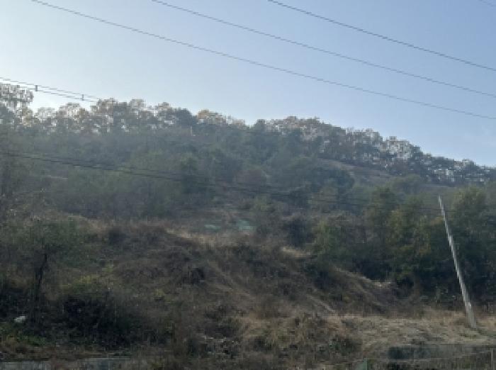 충북 괴산군 괴산읍 신기리 산18-17 임야 사진 3