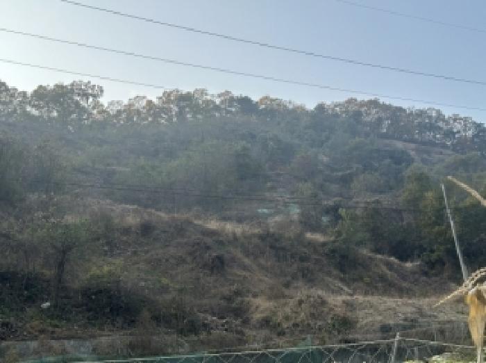 충북 괴산군 괴산읍 신기리 산18-17 임야 사진 4