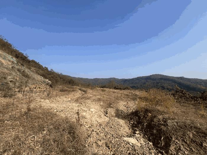 충북 괴산군 괴산읍 신기리 산18-17 임야 사진 5