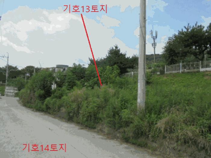 충북 제천시 신월동 산15-65 임야 경매 물건 사진