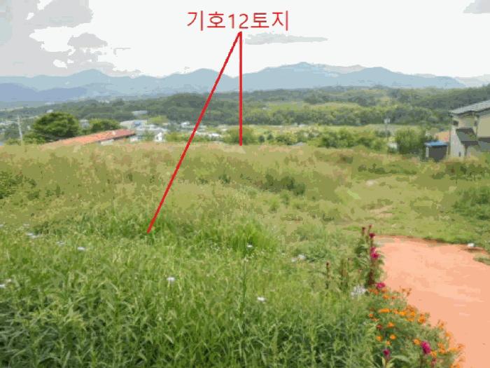 충북 제천시 신월동 산15-65 임야 사진 4