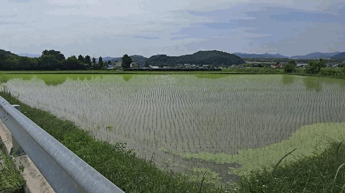 충북 충주시 산척면 송강리 2200 답 경매 물건 사진