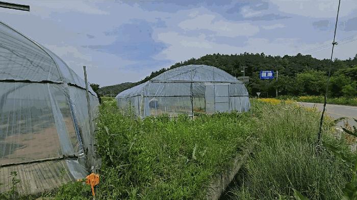 충북 충주시 산척면 송강리 2200 답 사진 4