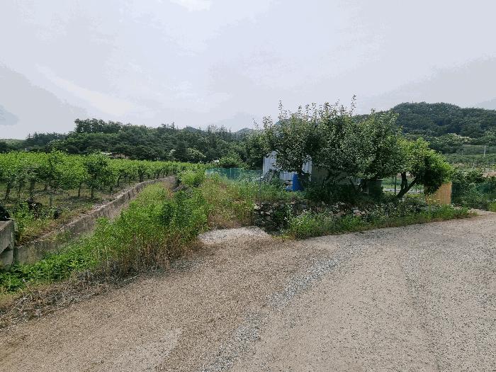 충북 충주시 동량면 조동리 889-1 주택 사진 5