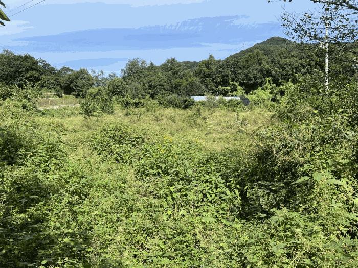 충북 제천시 금성면 위림리 200 전 경매 물건 사진