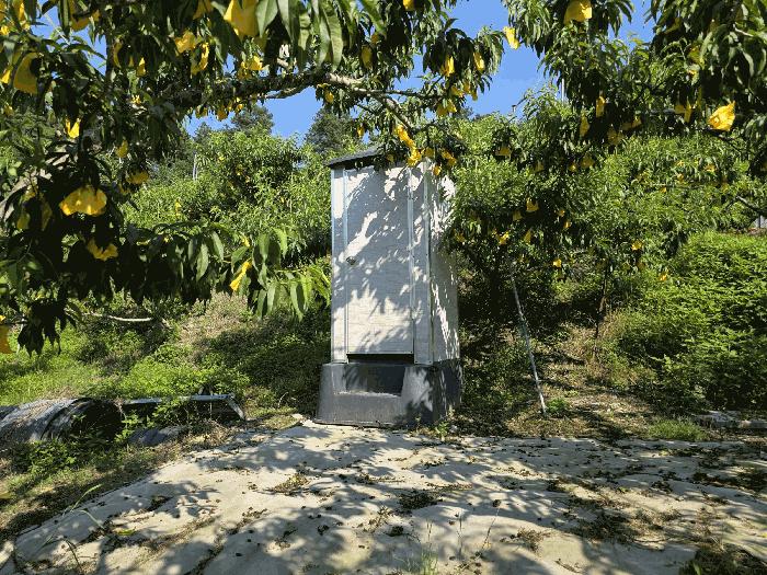 충북 충주시 신니면 선당리 511 답 경매 물건 사진