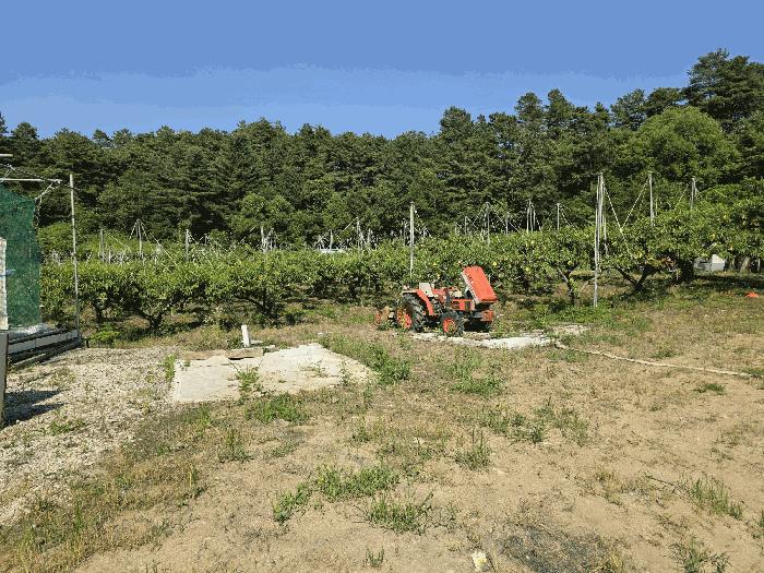 충북 충주시 신니면 선당리 511 답 사진 5