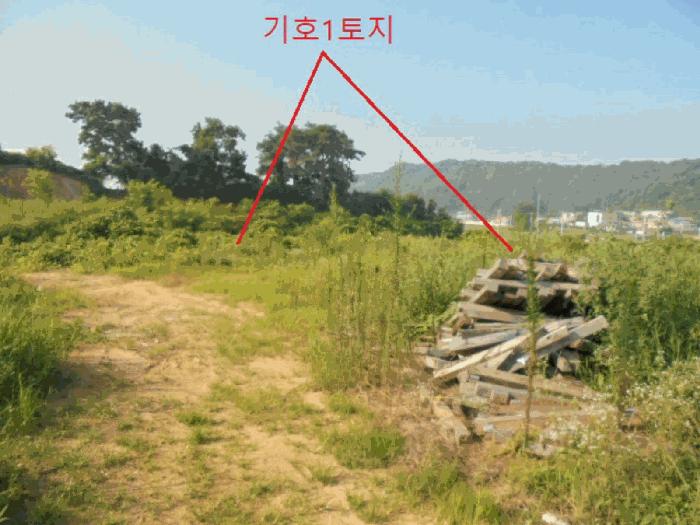 충북 음성군 대소면 대풍리 산33-3 임야 경매 물건 사진