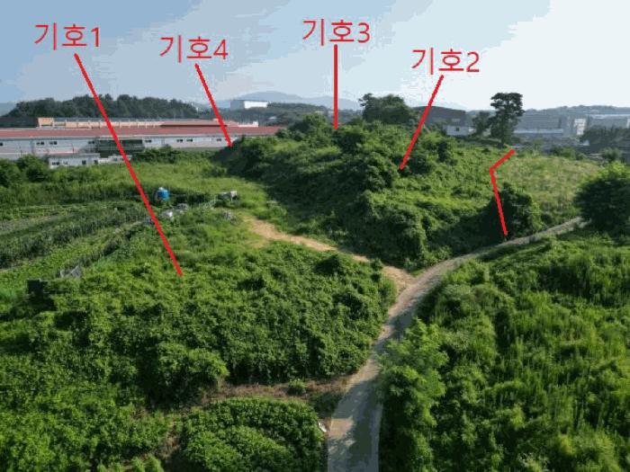 충북 음성군 대소면 대풍리 산33-3 임야 사진 2