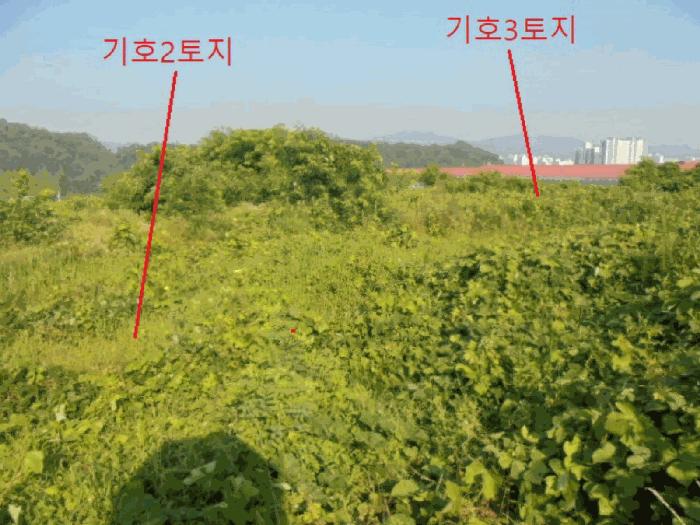 충북 음성군 대소면 대풍리 산33-3 임야 사진 3