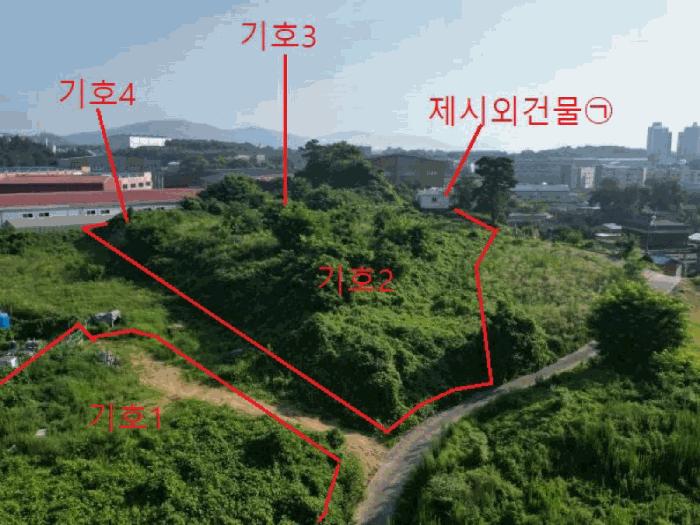 충북 음성군 대소면 대풍리 산33-3 임야 사진 4