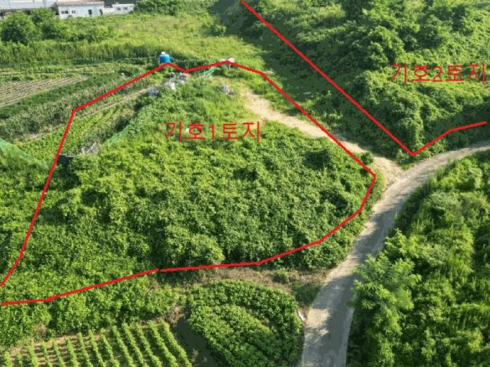충북 음성군 대소면 대풍리 산33-3 임야 사진 5