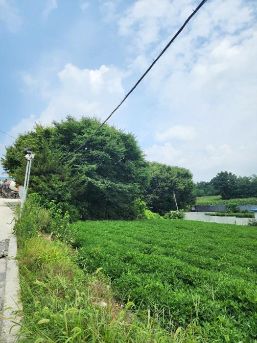 충북 청주시 청원구 내수읍 내수리 253 전 사진 2