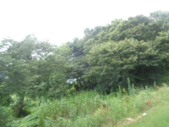충북 청주시 청원구 내수읍 내수리 253 전 사진 5