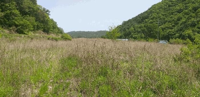 충북 영동군 학산면 지내리 1464-1 답 사진 4