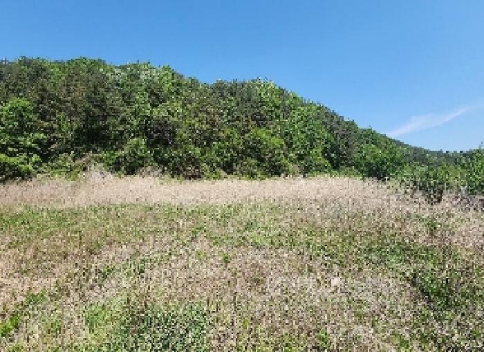 충북 영동군 학산면 지내리 1464-1 답 사진 5