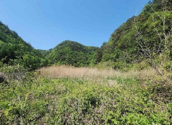 충북 영동군 학산면 지내리 1464-1 답 사진 6