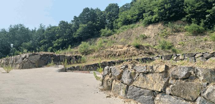 충북 옥천군 동이면 남곡리 산89 임야 사진 5