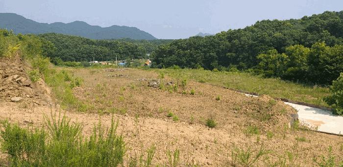 충북 옥천군 동이면 남곡리 산89 임야 사진 6