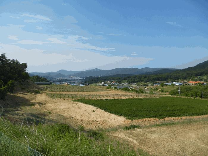 충북 청주시 상당구 가덕면 수곡리 산52-5 임야 경매 물건 사진