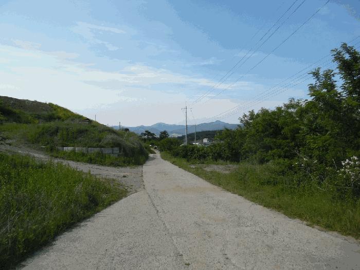 충북 청주시 상당구 가덕면 수곡리 산52-5 임야 사진 5
