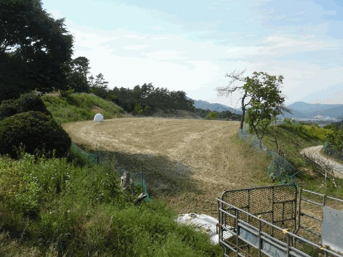 충북 청주시 상당구 가덕면 수곡리 산52-5 임야 사진 6