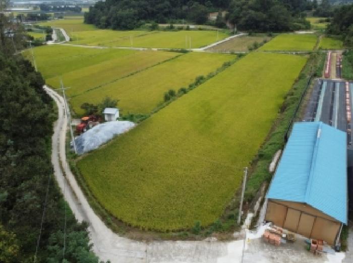 충북 보은군 탄부면 벽지리 786 답 사진 6